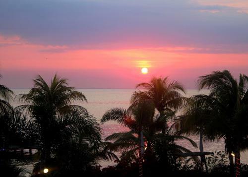 Hotel Aruba Surfside Marina