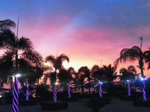 Hotel Aruba Surfside Marina