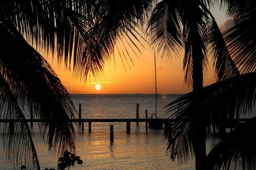 Hotel Aruba Surfside Marina