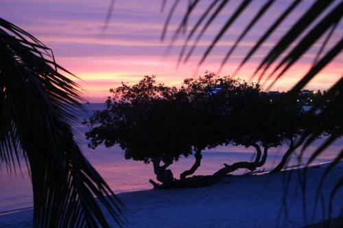Hotel Aruba Surfside Marina
