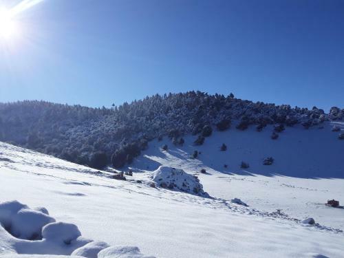 Posada Gite Foreste Tagroumt