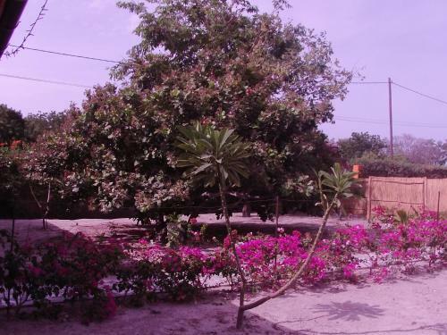Bed & Breakfast B & B Mariamacounda