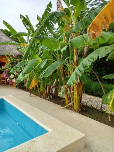 Bed & Breakfast B & B Mariamacounda