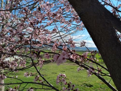 Hostal Ferme D?h�te La Vall�e
