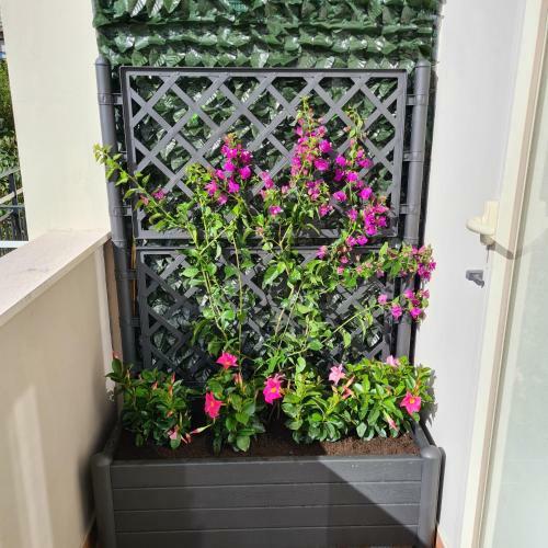 Apartamento Maison Flavia
