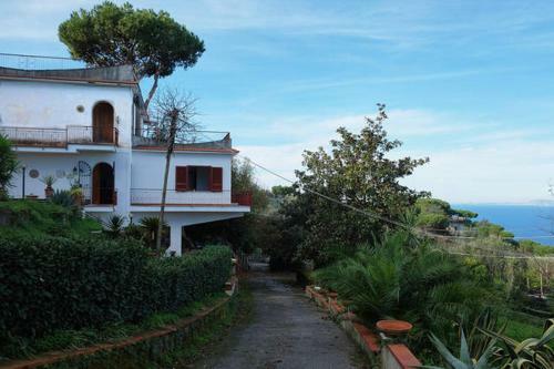 Villa The Two Magnolias