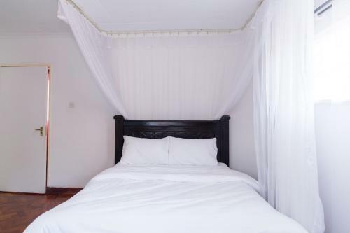 Hostal Celio Jardine Lavington