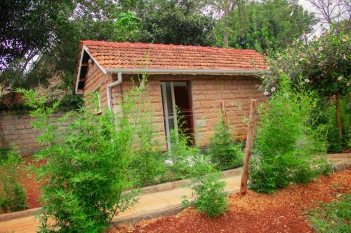 Hostal Celio Jardine