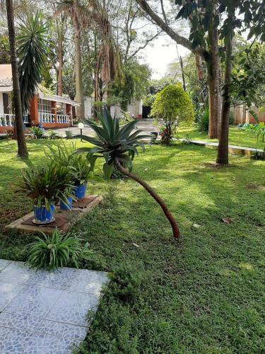 Apartamento Pallicos