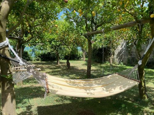 Apartamento Casa Melograno