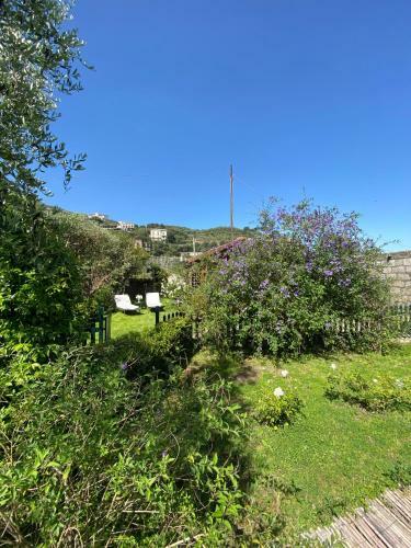 Bed & Breakfast Chalet Lidia