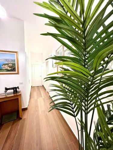 Bed & Breakfast Il Filo Di Arianna