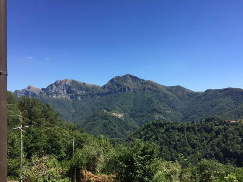 Il Frutteto