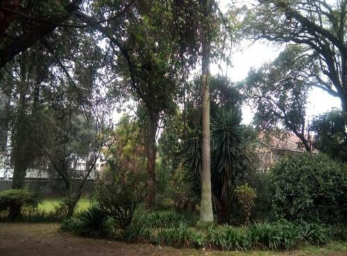 Hostal Quiet Comfortable Studio With Mature Garden View.