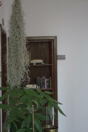 Bed & Breakfast Bnb La Vendemmia