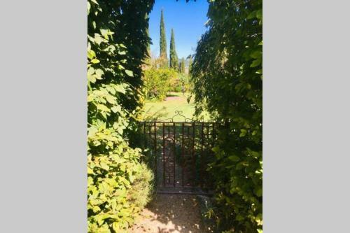 Secluded Charming Cottage - Chianti