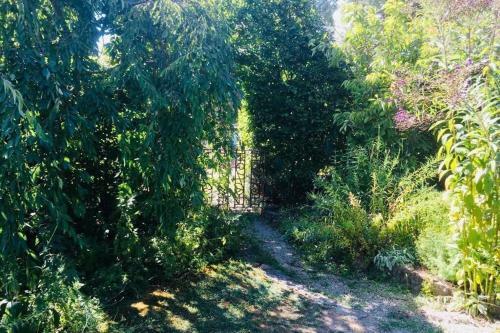 Secluded Charming Cottage - Chianti