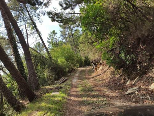 Relax E Natura In Versilia
