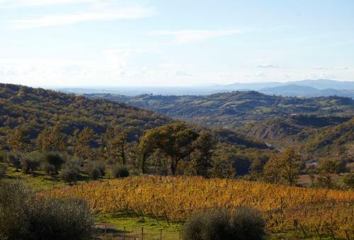 Fattoria La Pieve