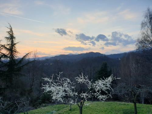 La Villa Nel Bosco