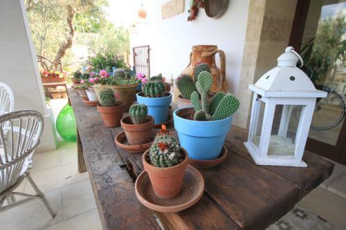 Apartamento Relais L'oliveto