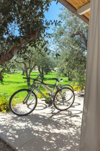 Apartamento Relais L'oliveto