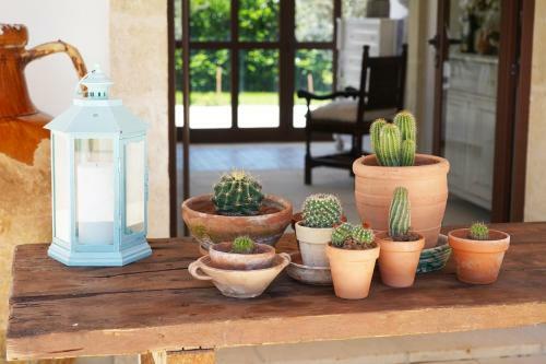 Apartamento Relais L'oliveto