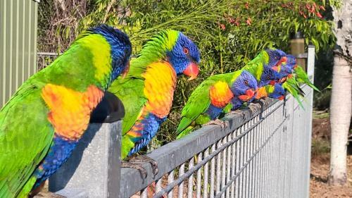 Magnetic Island Bed And Breakfast