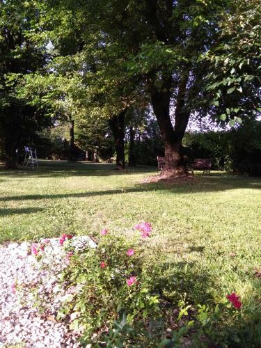 Hostal Affittacamere Civico 80