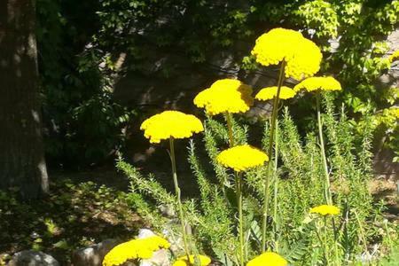 Apartamento B&B Villaggio Sole