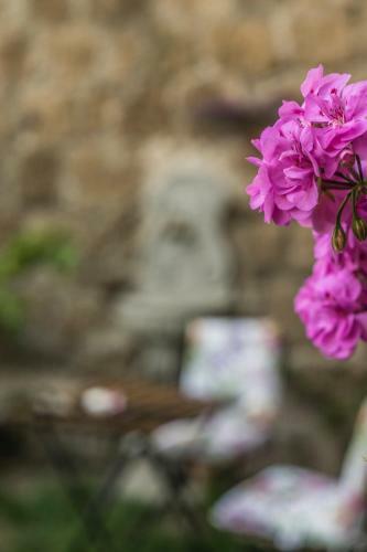 B&B Etruscan Garden