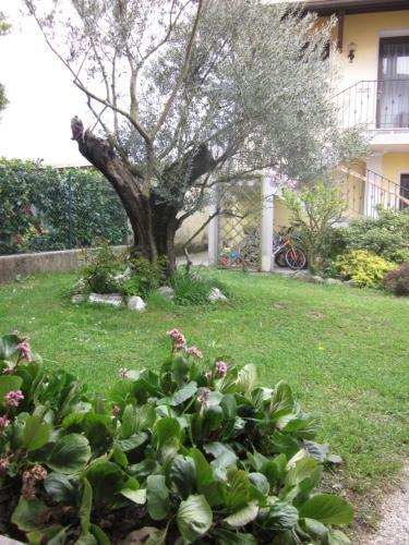 B&B Nono Tilio