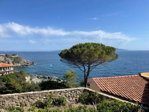 Apartamento Villa Il Molinaccio Con Spiaggia Privata E Terrazza Sul Mare