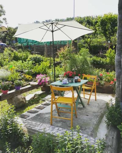 Hostal La Casa Dell'olmo