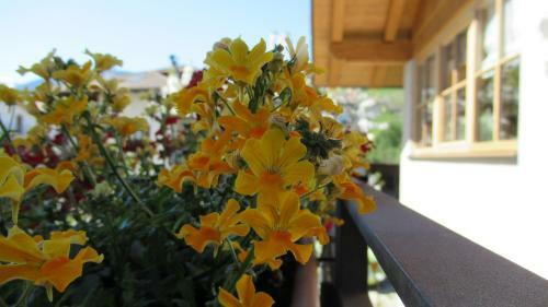 Chalet Casa Al Poz