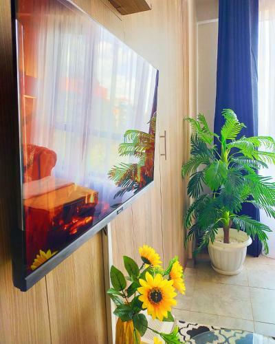 D&g Whistle Apartment