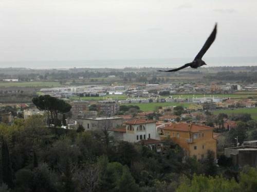 Bed & Breakfast Al Castello