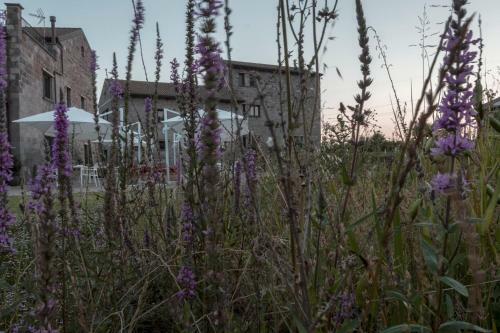 Agroturismo I Cacciagalli