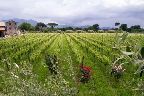 Agroturismo I Cacciagalli