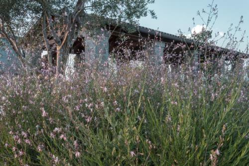 Agroturismo I Cacciagalli