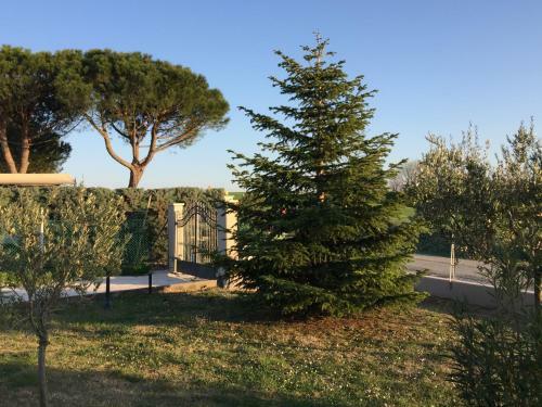 Villetta Le Rose
