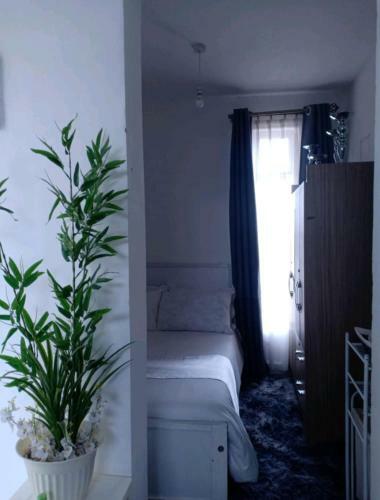 Apartamento Zen Cove Studio