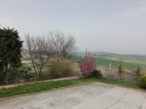 Agroturismo Strada Dei Frutteti