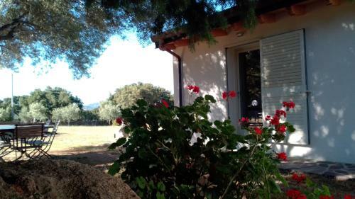 B&B Andrieddu