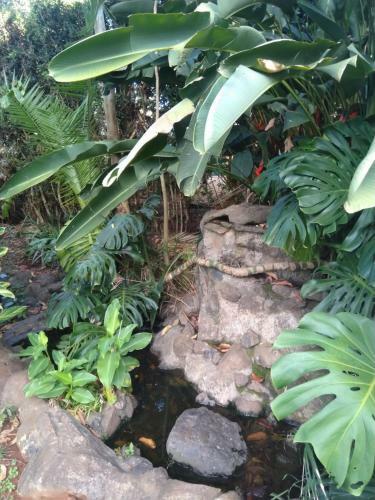 Villa Duom Palm Home