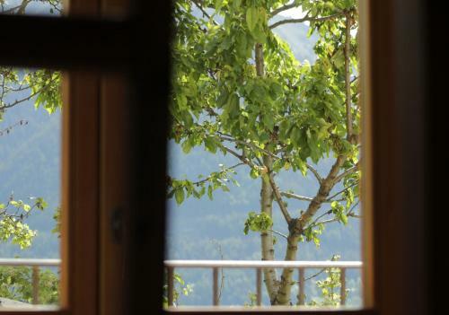 B&B Villa Dalegno