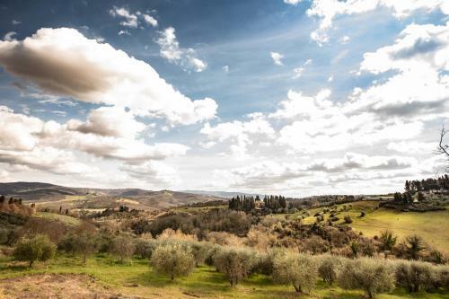 Bed & Breakfast Campora House