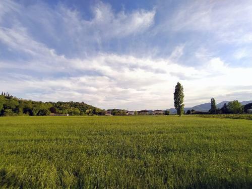 Apartamento Ca' Emma Teolo