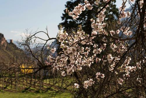 Apartamento Villa Sonnenschein