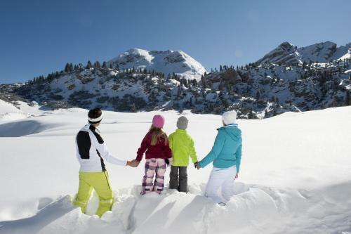 Apartamento Chalet Schmied